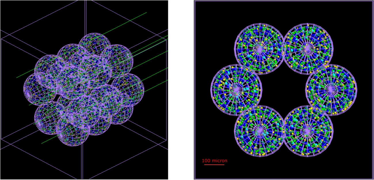 BioDynaMo Biology Dynamics Modeller – CERN openlab
